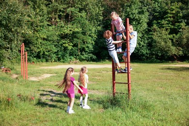 Photo of Children climbing ladder in nature on summer day