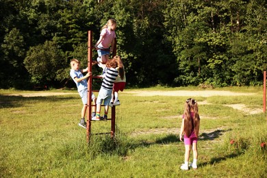 Photo of Children climbing ladder in nature on summer day