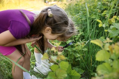 Photo of Cute little girls looking at plant through magnifying glass in nature
