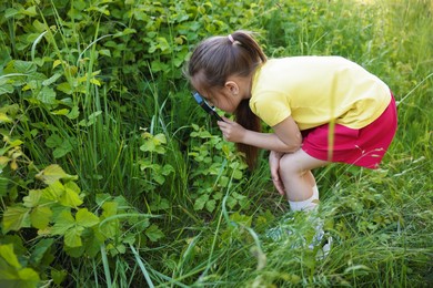 Photo of Cute little girl looking at plant through magnifying glass in nature