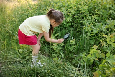 Photo of Cute little girl looking at plant through magnifying glass in nature