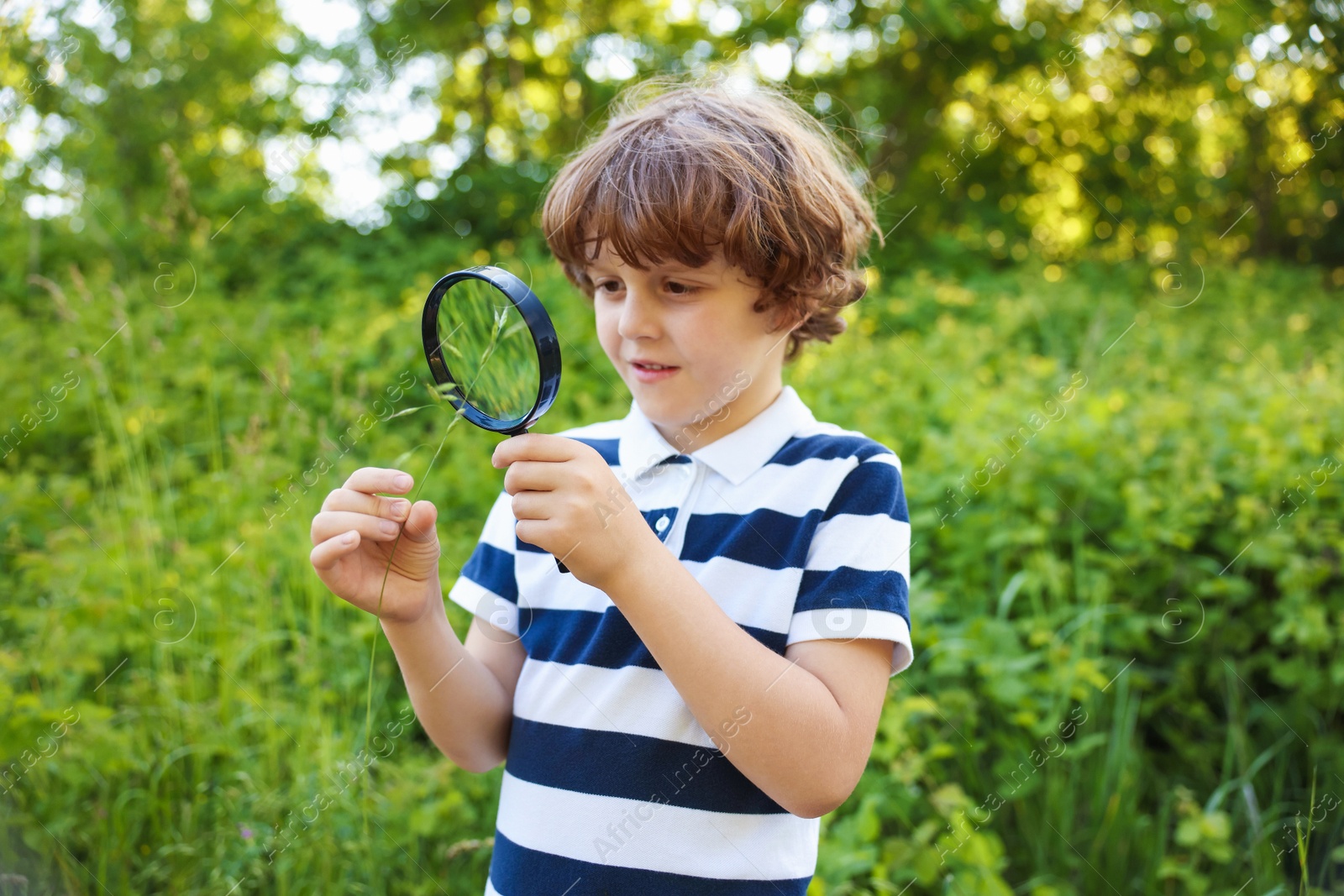 Cute little boy looking at plant through magnifying glass in nature Photo of Cute little boy looking at plant through magnifying glass in nature
