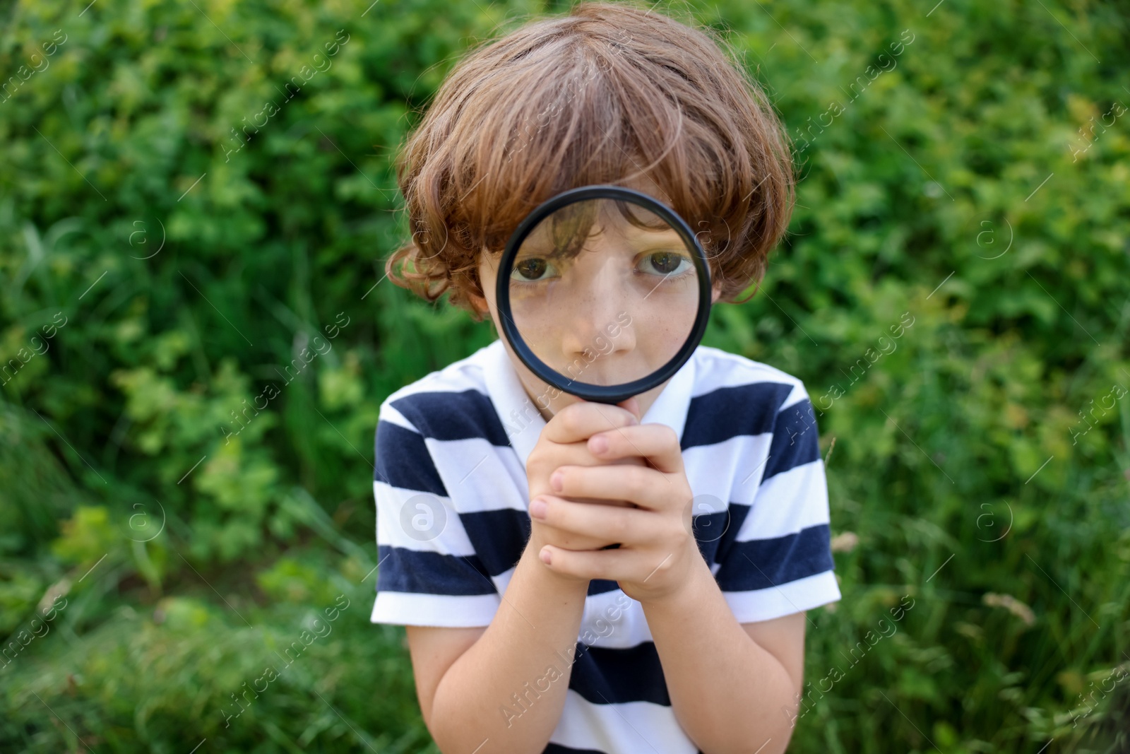 Cute little boy looking through magnifying glass in nature Photo of Cute little boy looking through magnifying glass in nature