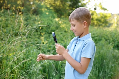 Photo of Cute little boy looking at plants through magnifying glass in nature