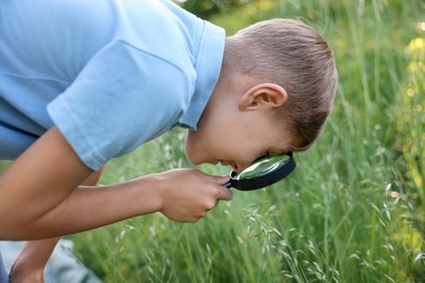 Photo of Cute little boy looking at plants through magnifying glass in nature