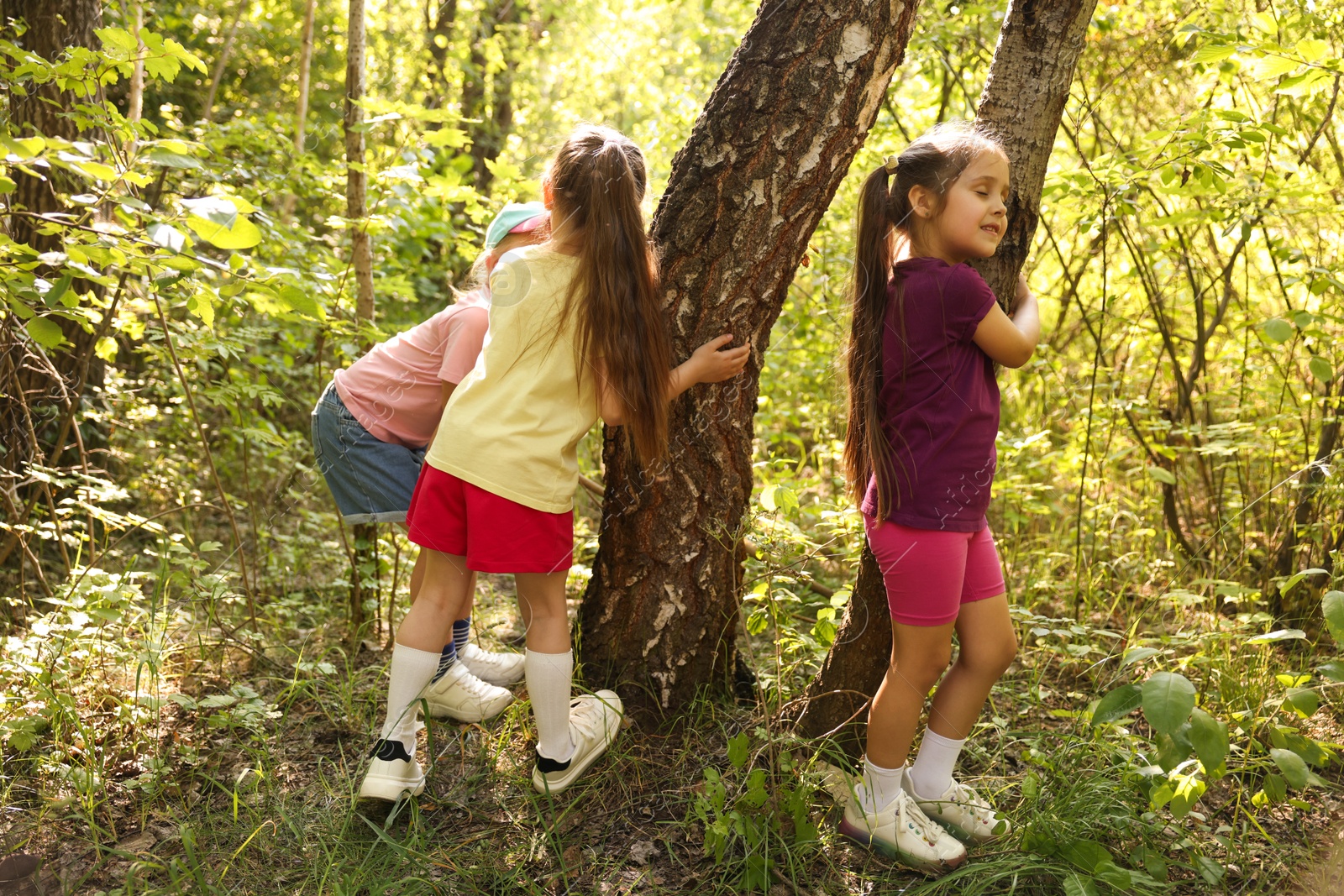Cute little girls near trees in nature Photo of Cute little girls near trees in nature