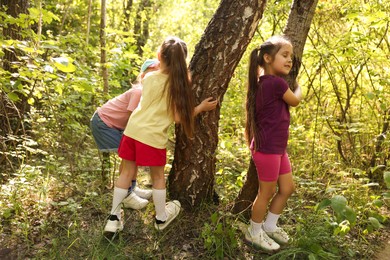 Photo of Cute little girls near trees in nature