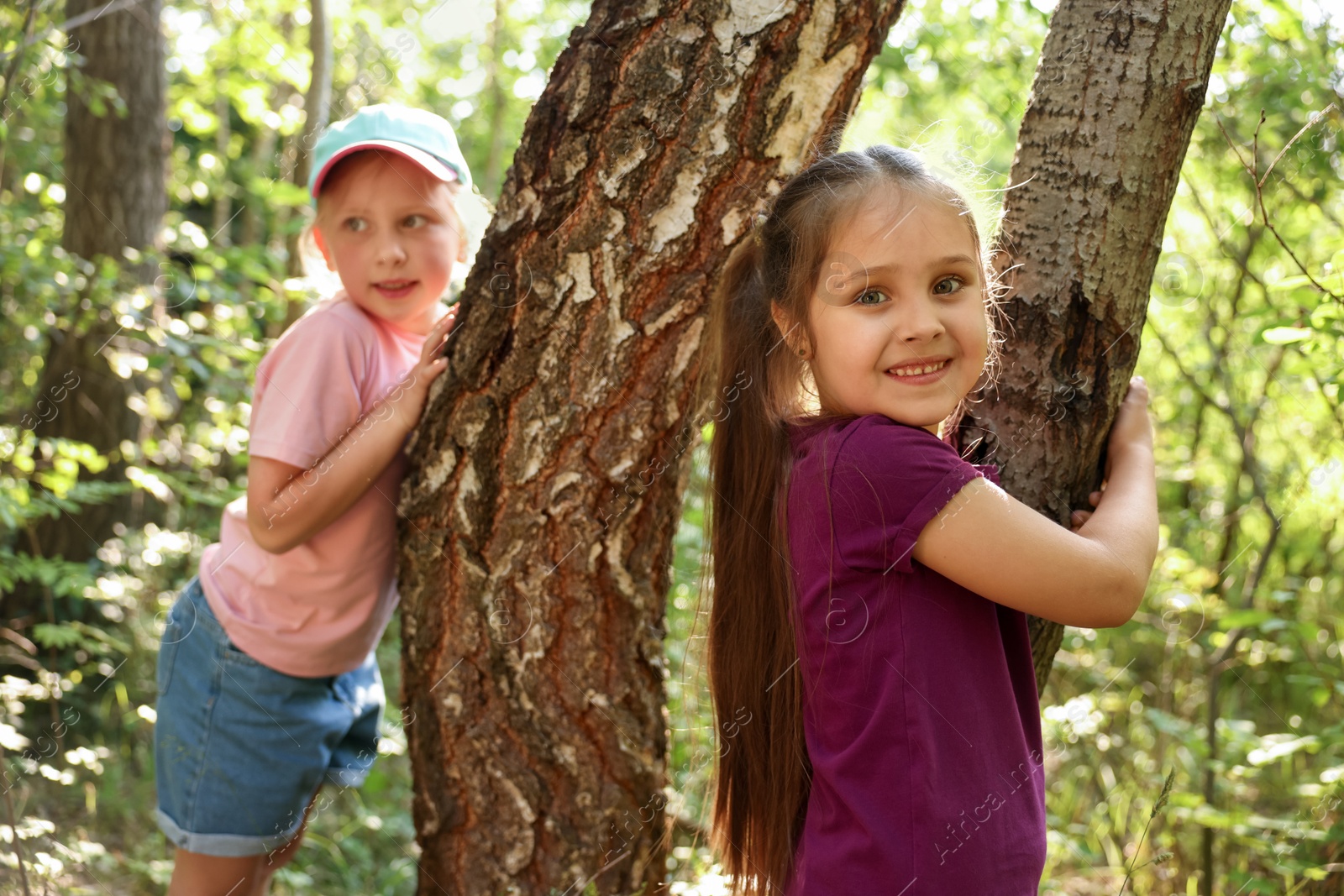 Cute little girls near trees in nature, selective focus Photo of Cute little girls near trees in nature, selective focus