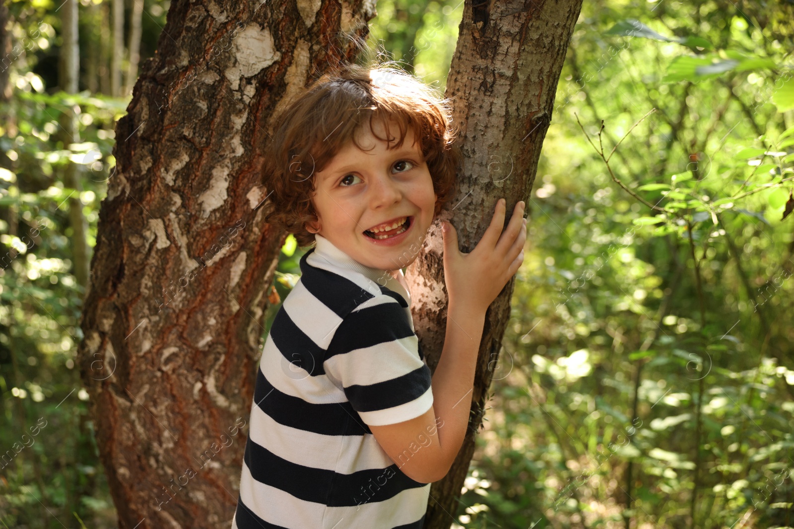 Cute little boy near tree in nature Photo of Cute little boy near tree in nature