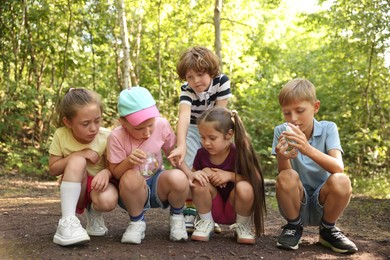 Photo of Group of children with jars in nature
