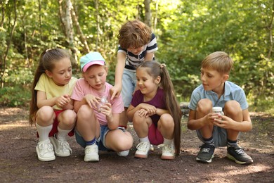 Photo of Group of children with jars in nature