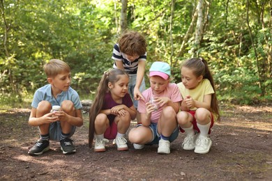 Photo of Group of children with jars in nature