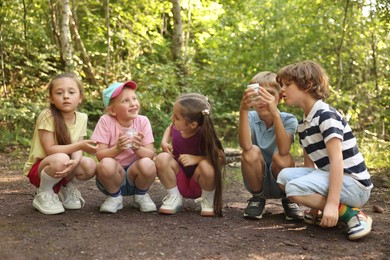 Photo of Group of children with jars in nature