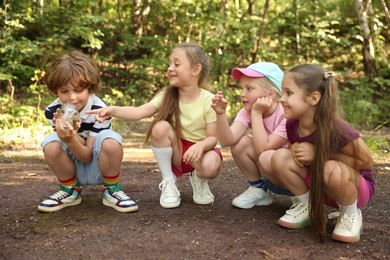 Photo of Group of children with jar in nature