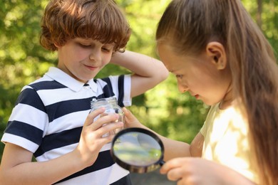 Photo of Children with magnifying glass and jar in nature