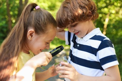 Photo of Children looking at jar through magnifying glass in nature