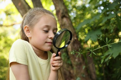 Photo of Cute little girl looking at plant through magnifying glass in nature