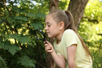 Photo of Cute little girl looking at plant through magnifying glass in nature