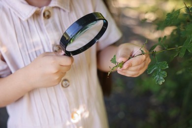 Photo of Little girl looking at branch with green leaves through magnifying glass in nature, closeup