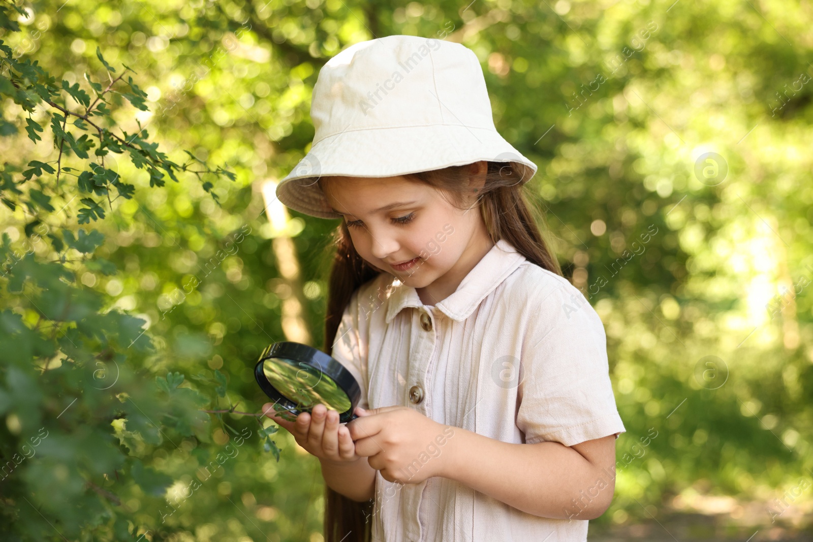 Photo of Cute little girl looking at branch with green leaves through magnifying glass in nature