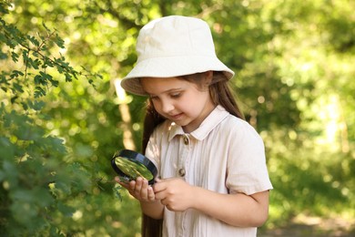 Photo of Cute little girl looking at branch with green leaves through magnifying glass in nature
