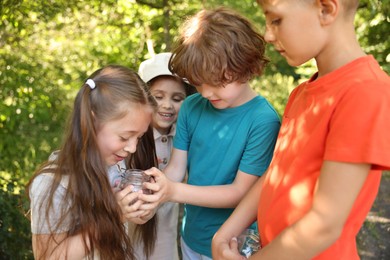 Photo of Group of children with jars in nature