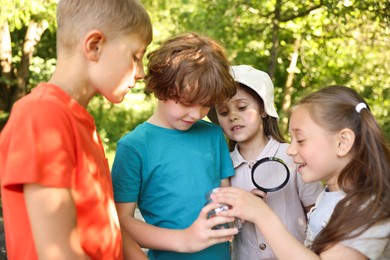 Photo of Children with magnifying glass and jar in nature