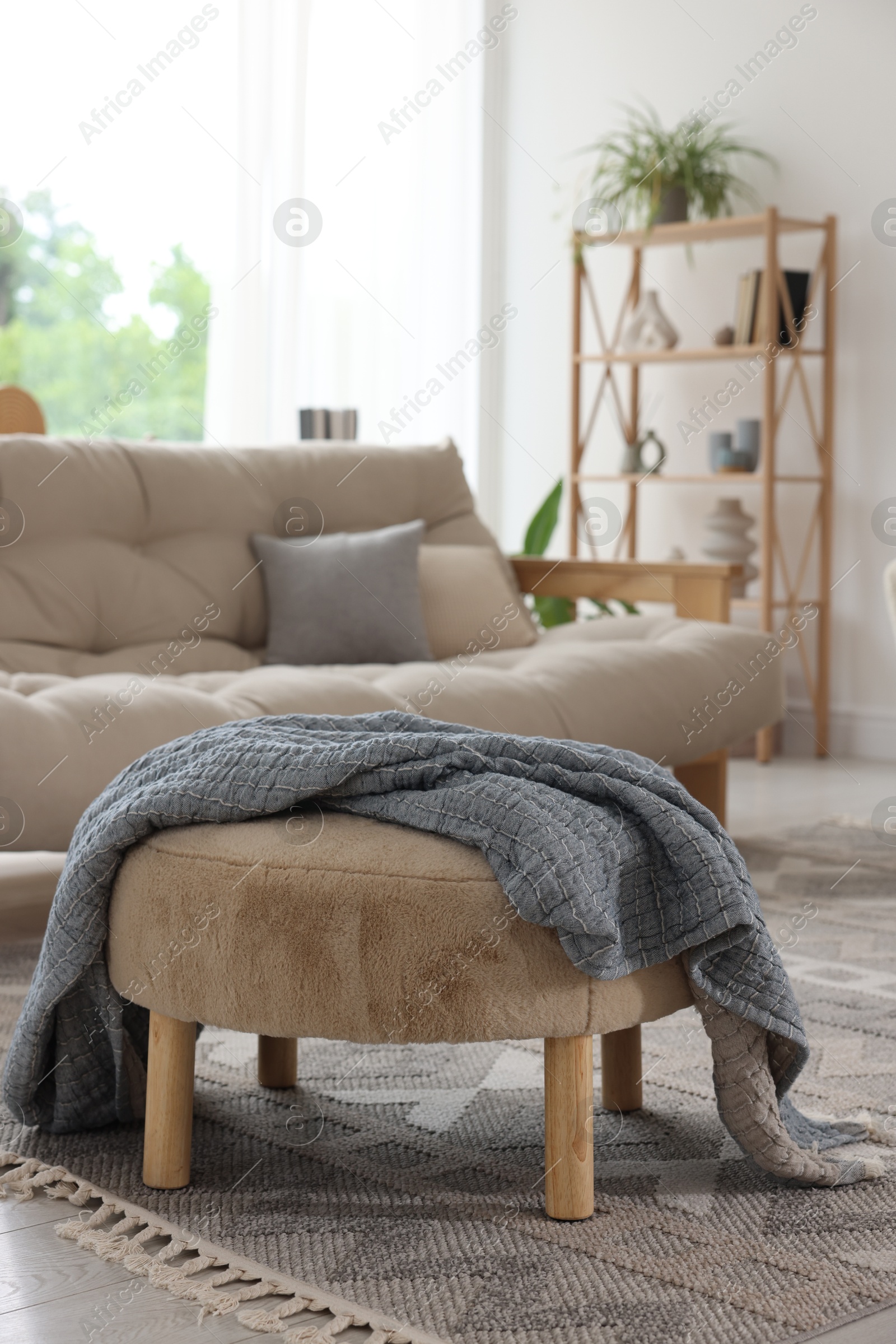 Stylish sofa and other furniture in living room. Interior design Photo of Stylish sofa and other furniture in living room. Interior design