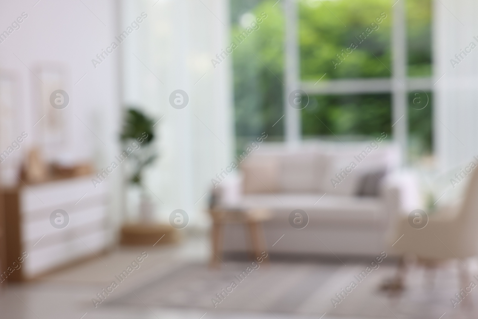 Photo of Blurred view of stylish furniture in living room. Interior design