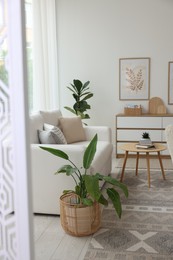 Photo of Stylish sofa and other furniture in living room. Interior design