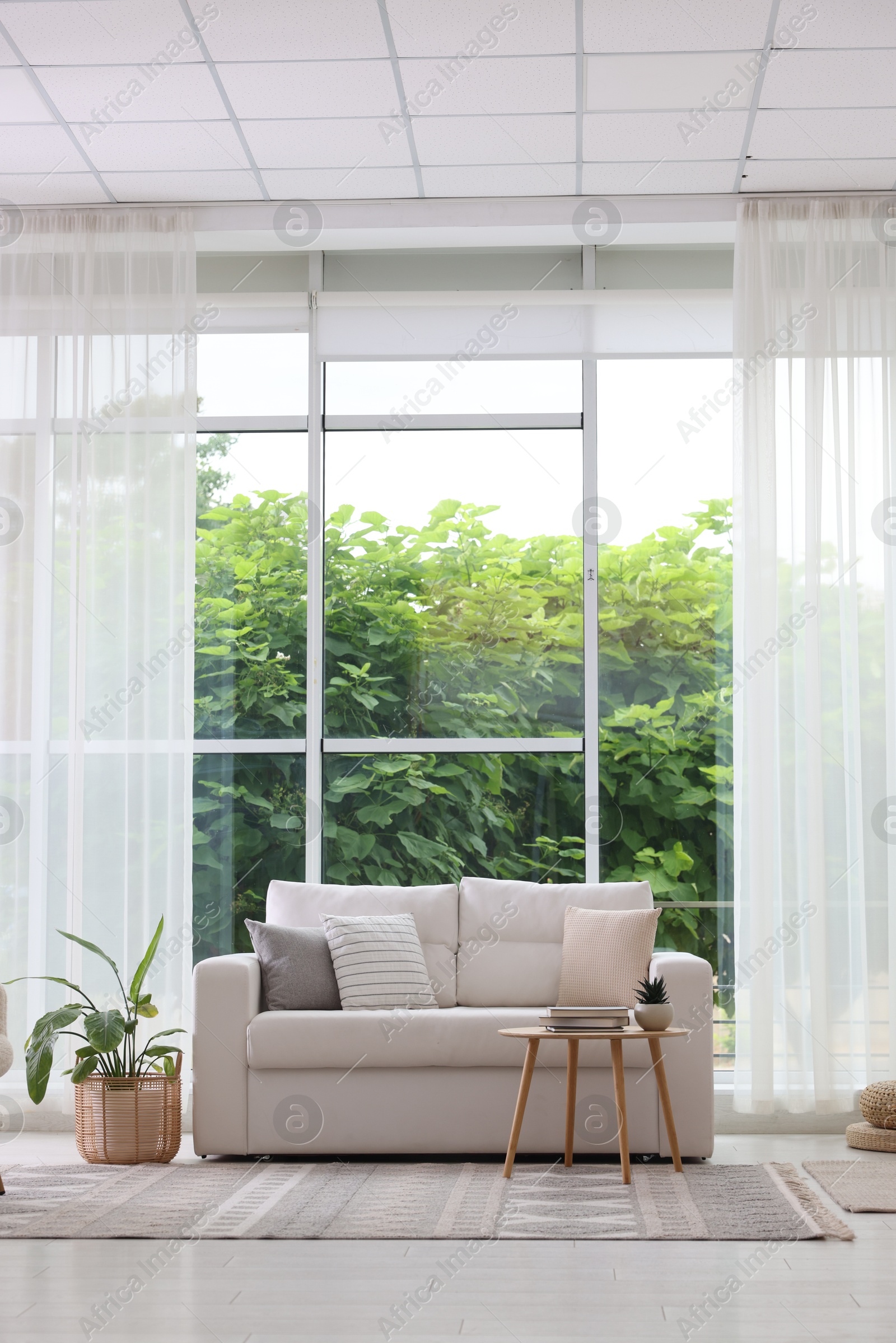 Photo of Stylish sofa and other furniture in living room. Interior design