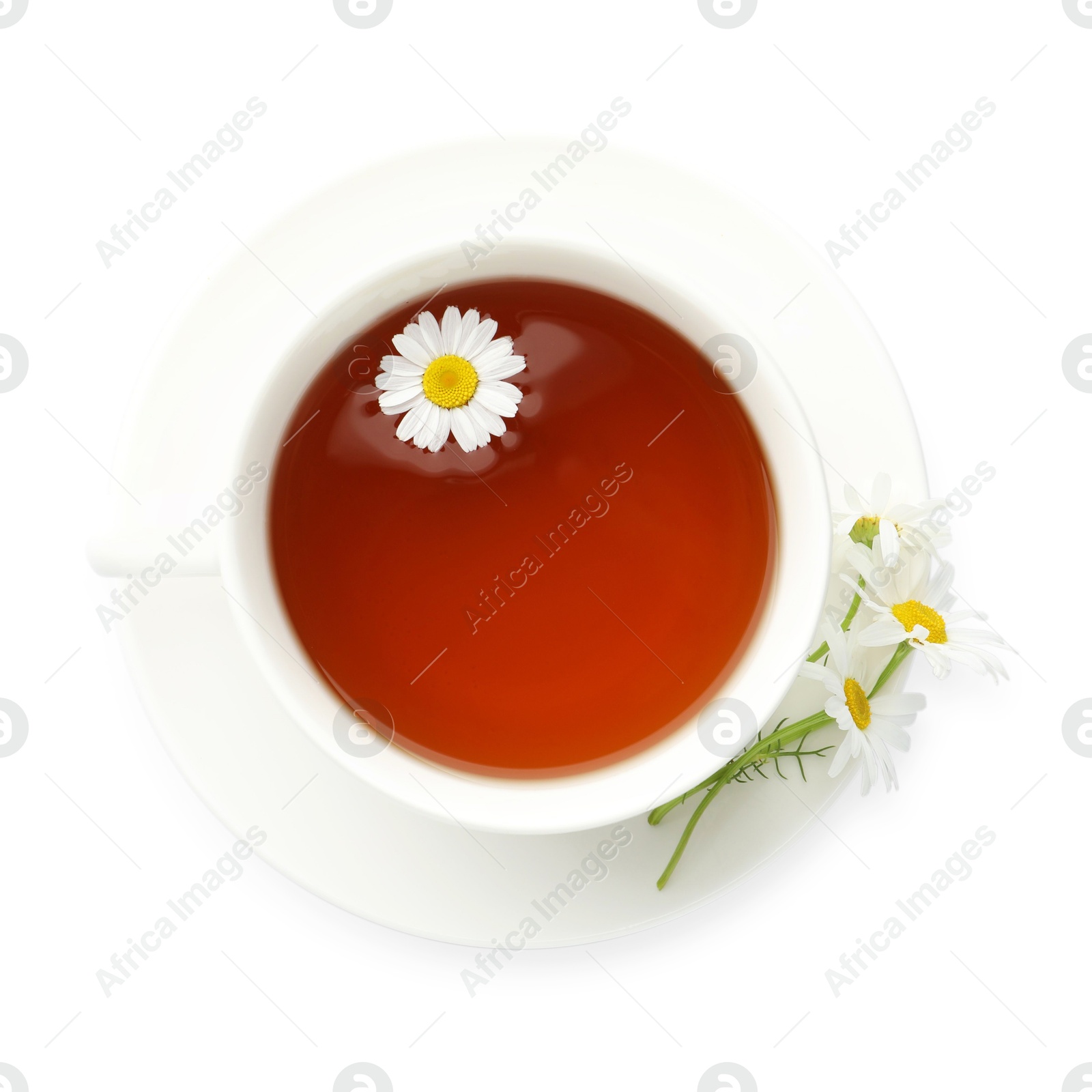 Photo of Aromatic tea in cup and chamomile flowers isolated on white, top view