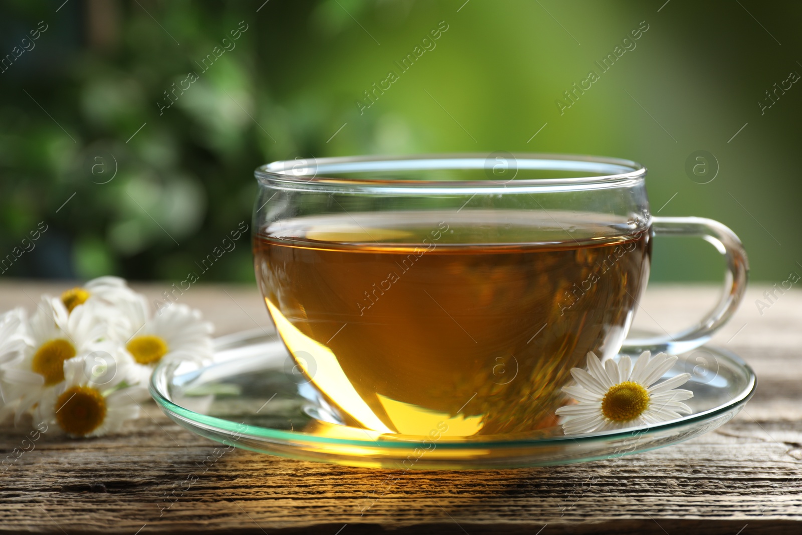 Aromatic tea in glass cup and chamomile flowers on wooden table, closeup Photo of Aromatic tea in glass cup and chamomile flowers on wooden table, closeup