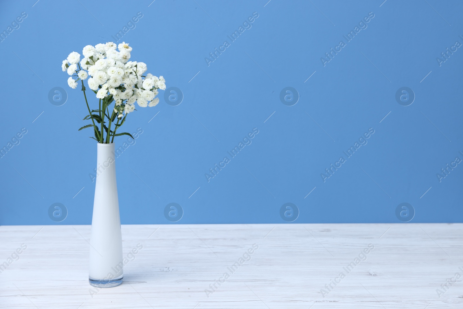 Photo of Beautiful flowers in vase on white wooden table against light blue background, space for text