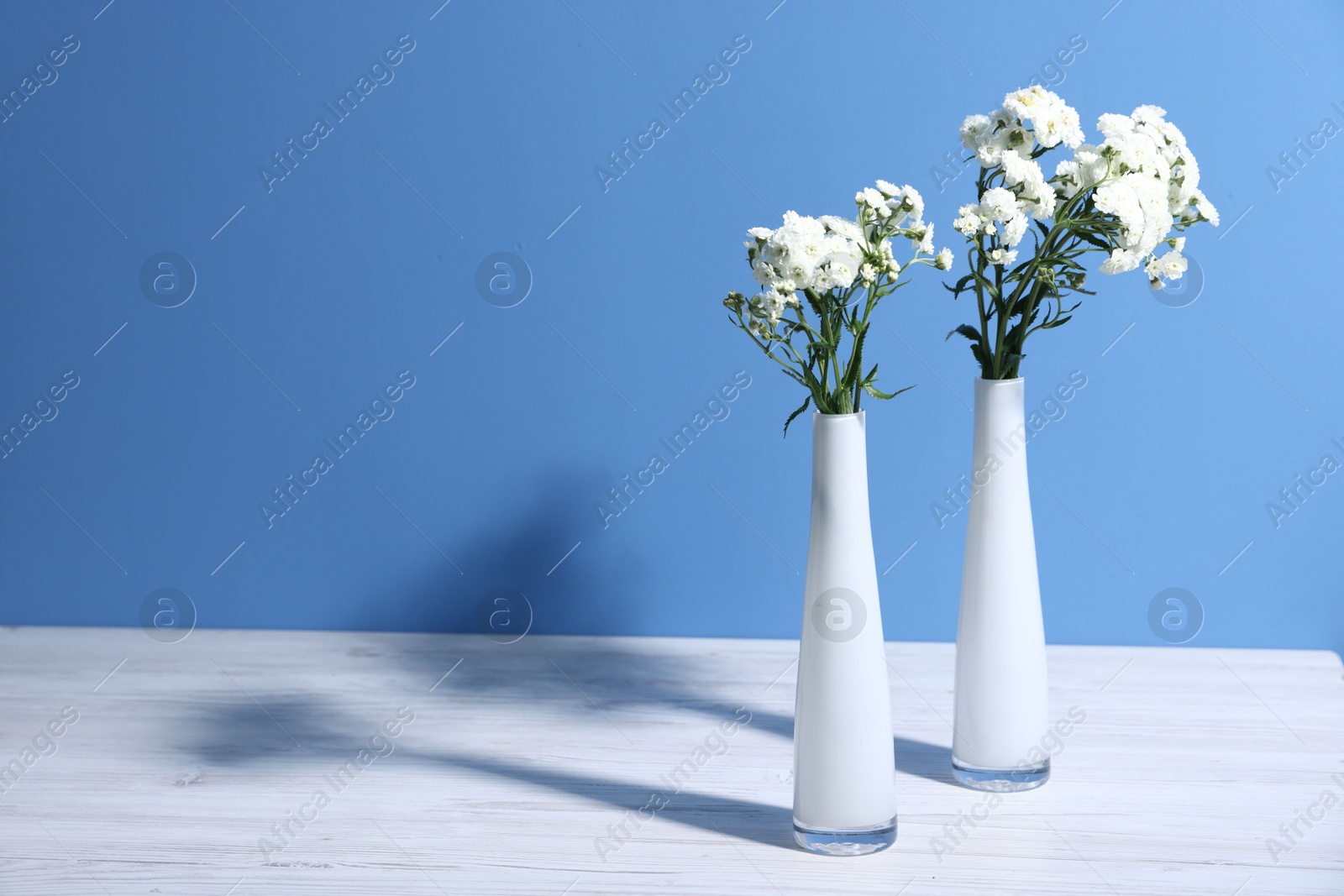 Beautiful flowers in vases on white wooden table against light blue background, space for text Photo of Beautiful flowers in vases on white wooden table against light blue background, space for text