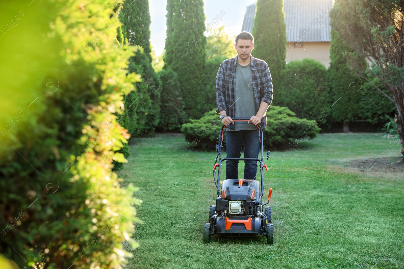 Man cutting green grass with lawn mower in garden Photo of Man cutting green grass with lawn mower in garden