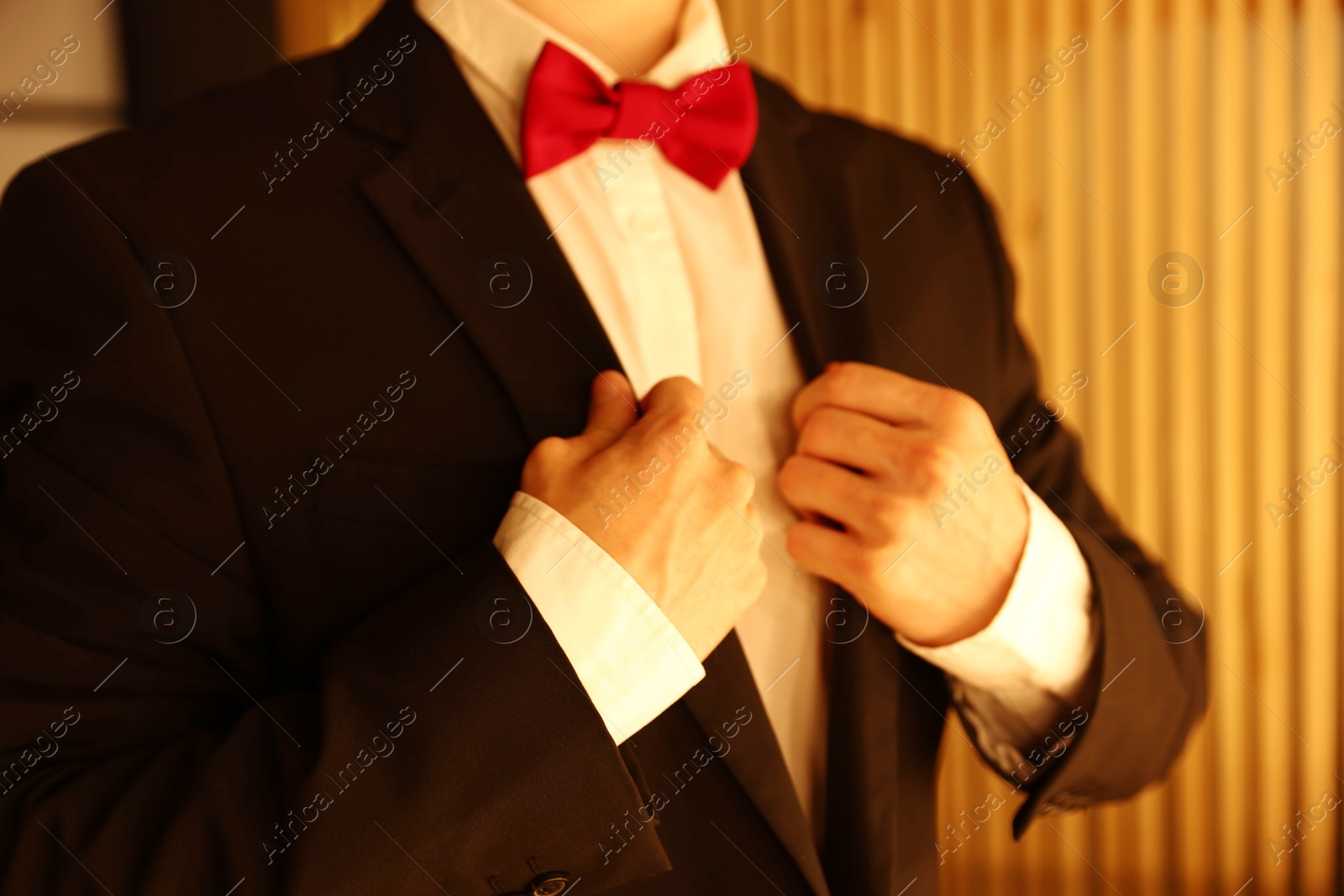 Man with bow tie getting ready indoors, closeup Photo of Man with bow tie getting ready indoors, closeup