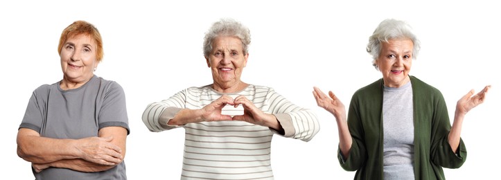 Image of Senior women on white background, set of portraits
