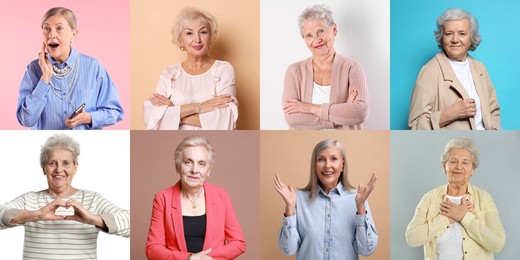 Image of Senior women, set of portraits on different colors backgrounds