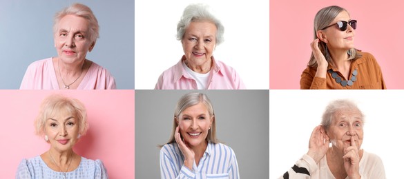 Image of Senior women, set of portraits on different colors backgrounds
