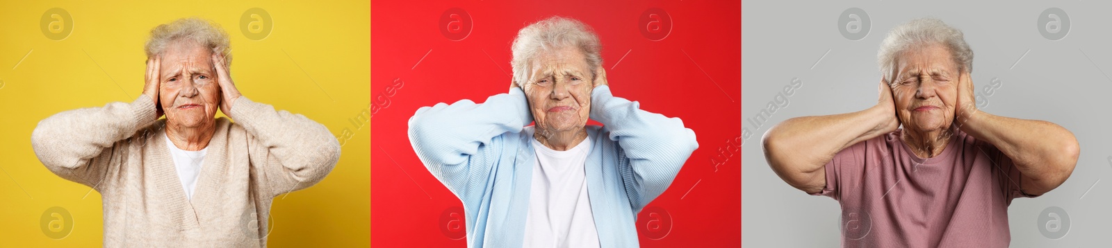 Senior woman, set of portraits on different colors backgrounds Image of Senior woman, set of portraits on different colors backgrounds