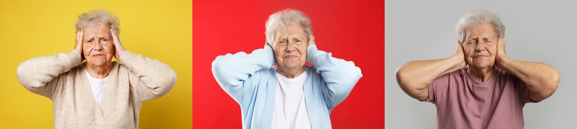 Image of Senior woman, set of portraits on different colors backgrounds