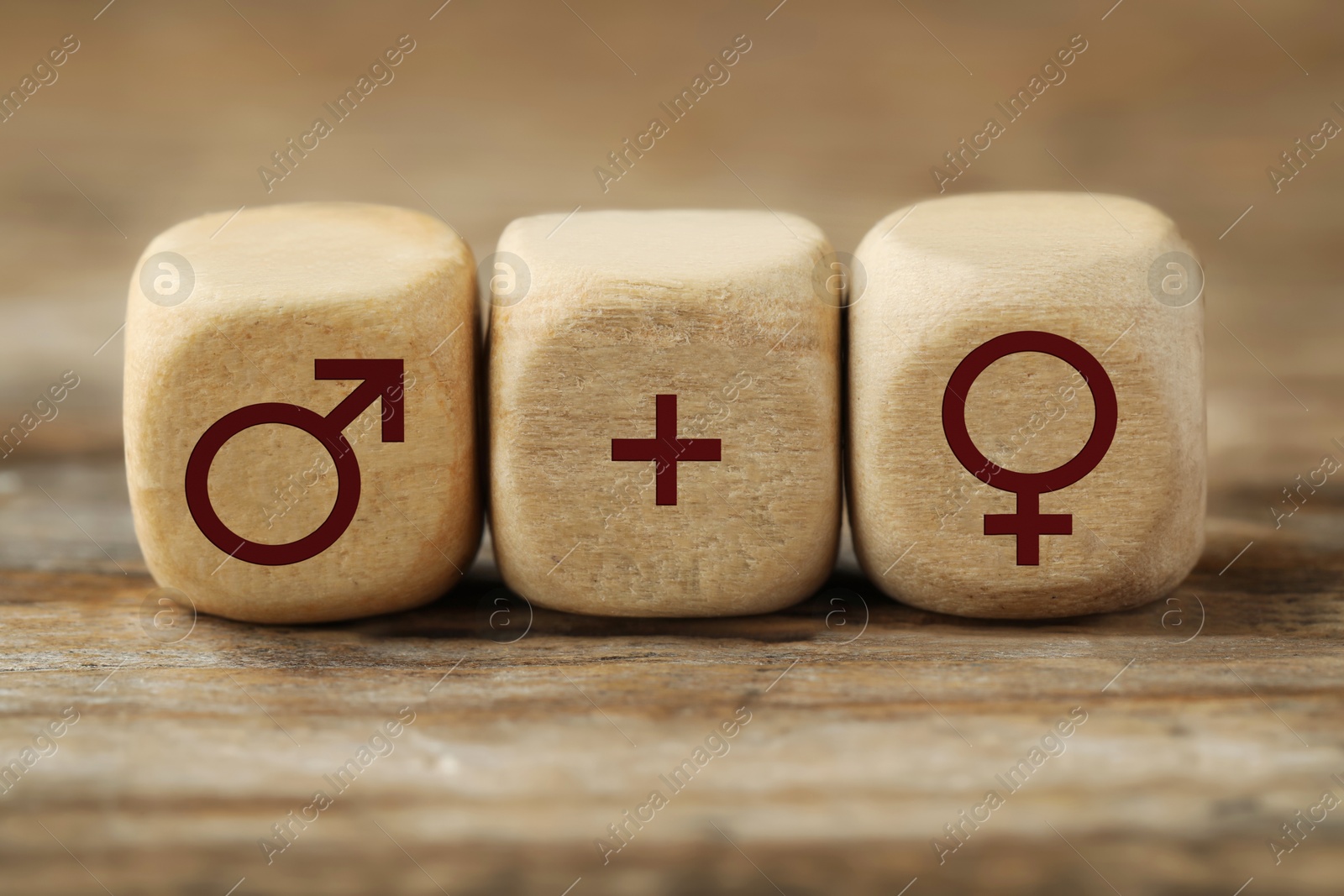 Sex education. Cubes with female and male gender symbols and plus sign on wooden table, closeup Image of Sex education. Cubes with female and male gender symbols and plus sign on wooden table, closeup