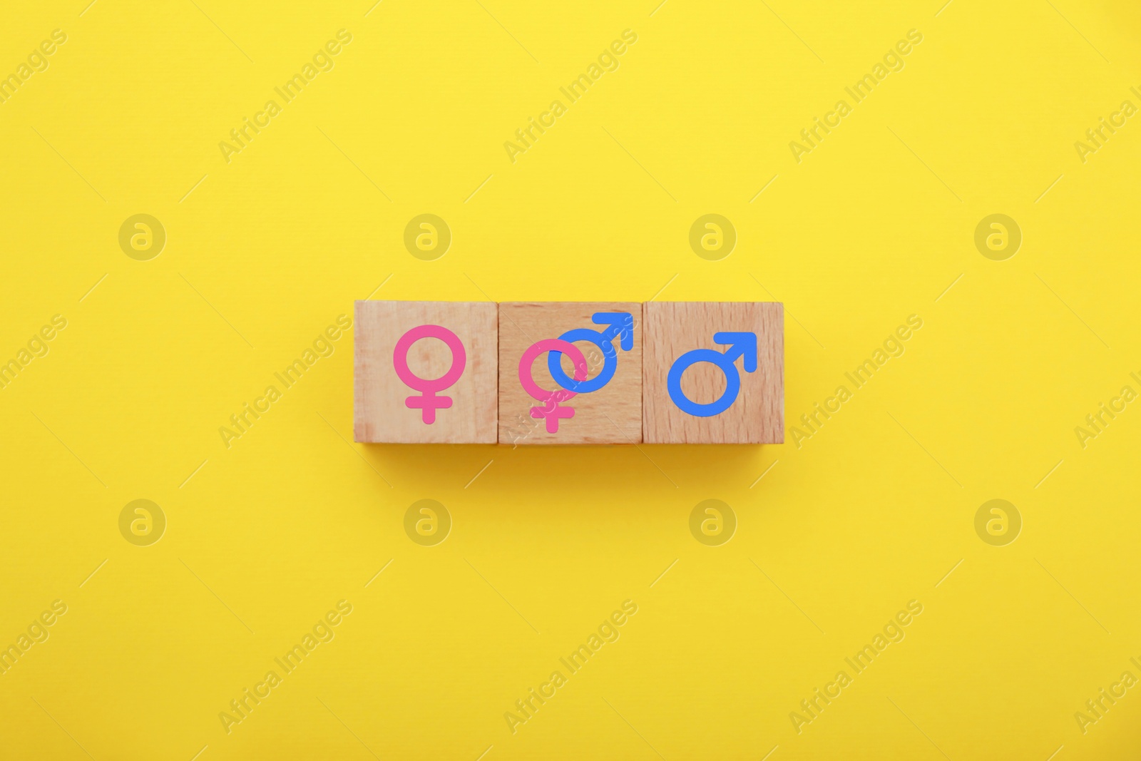 Sex education. Wooden cubes with female and male gender symbols on yellow background, top view Image of Sex education. Wooden cubes with female and male gender symbols on yellow background, top view