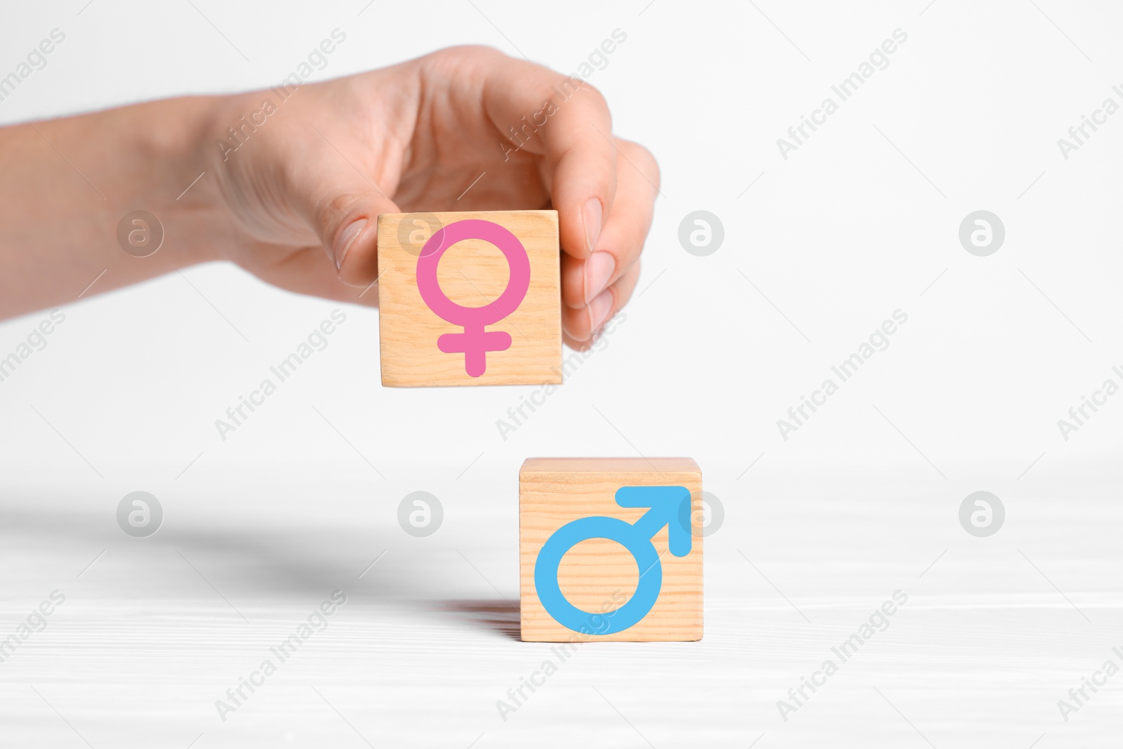 Sex education. Woman putting cube with female gender symbol next to another one with male on white background, closeup Image of Sex education. Woman putting cube with female gender symbol next to another one with male on white background, closeup
