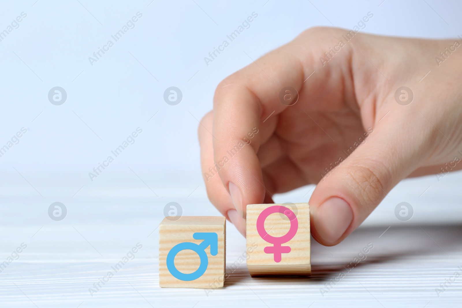 Sex education. Woman putting cube with female gender symbol next to another one with male on white background, closeup Image of Sex education. Woman putting cube with female gender symbol next to another one with male on white background, closeup