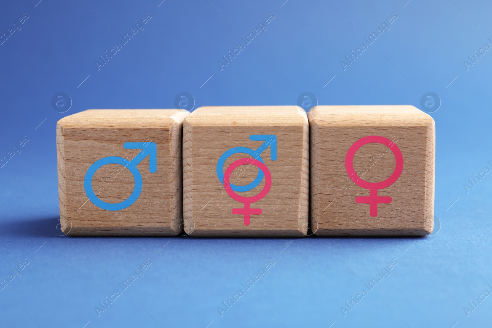 Sex education. Wooden cubes with female and male gender symbols on blue background Image of Sex education. Wooden cubes with female and male gender symbols on blue background