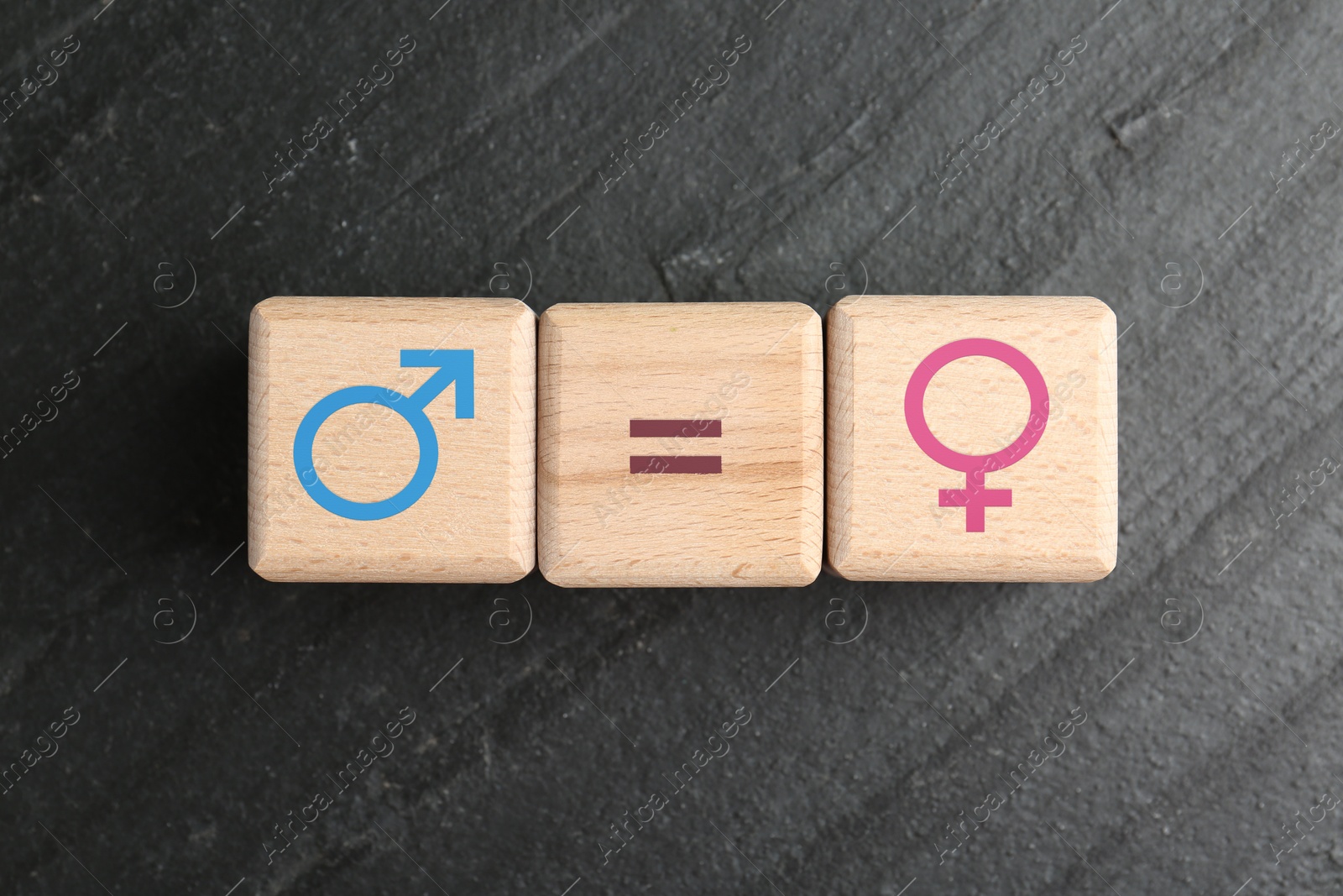 Sex education. Wooden cubes with female and male gender symbols and equals sign on grey textured background, top view Image of Sex education. Wooden cubes with female and male gender symbols and equals sign on grey textured background, top view