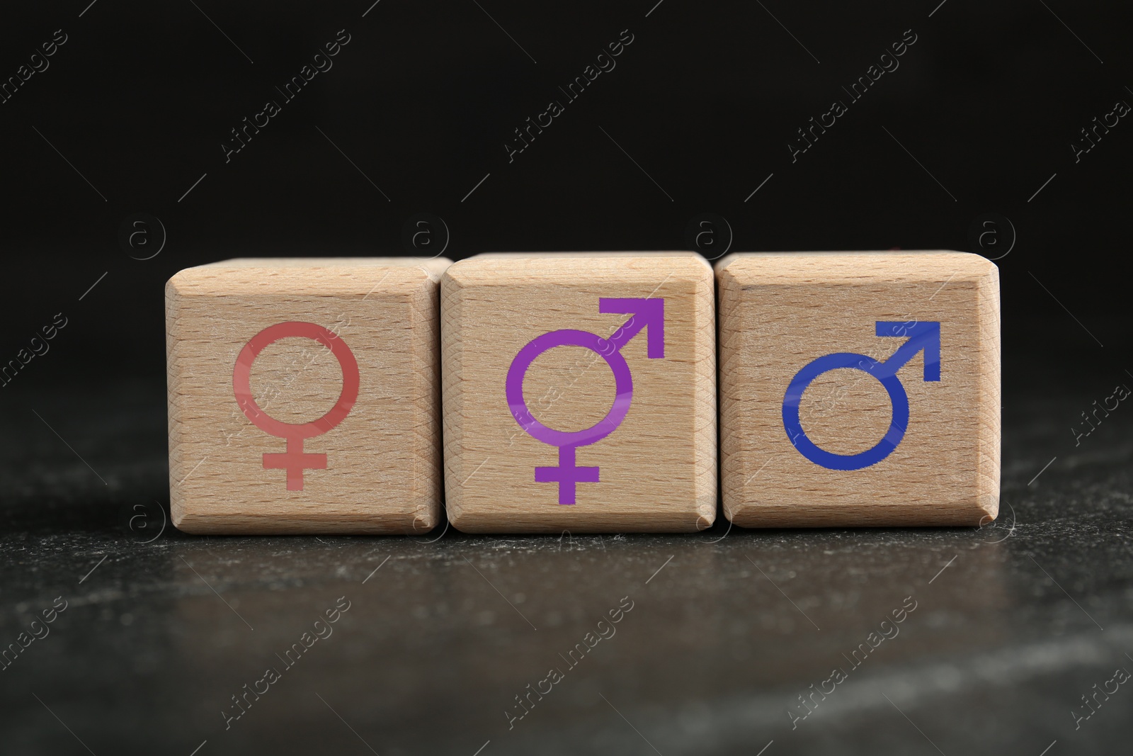 Sex education. Wooden cubes with female and male gender symbols on table Image of Sex education. Wooden cubes with female and male gender symbols on table