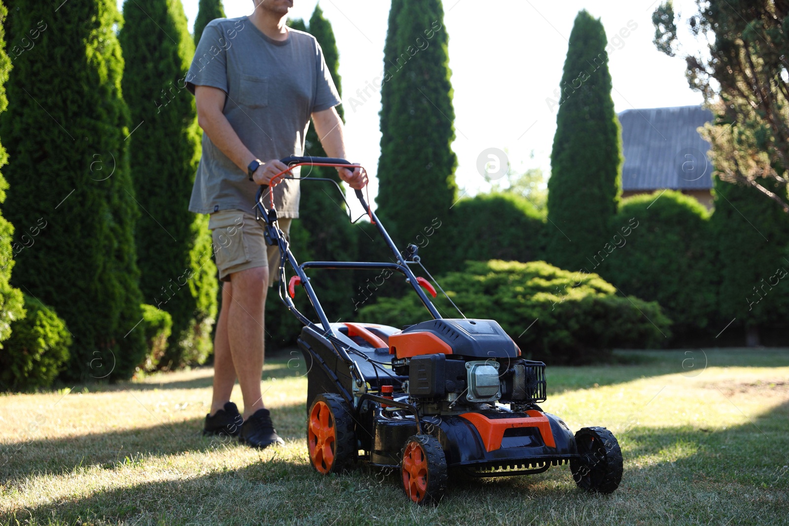 Photo of Man cutting green grass with lawn mower in garden, closeup